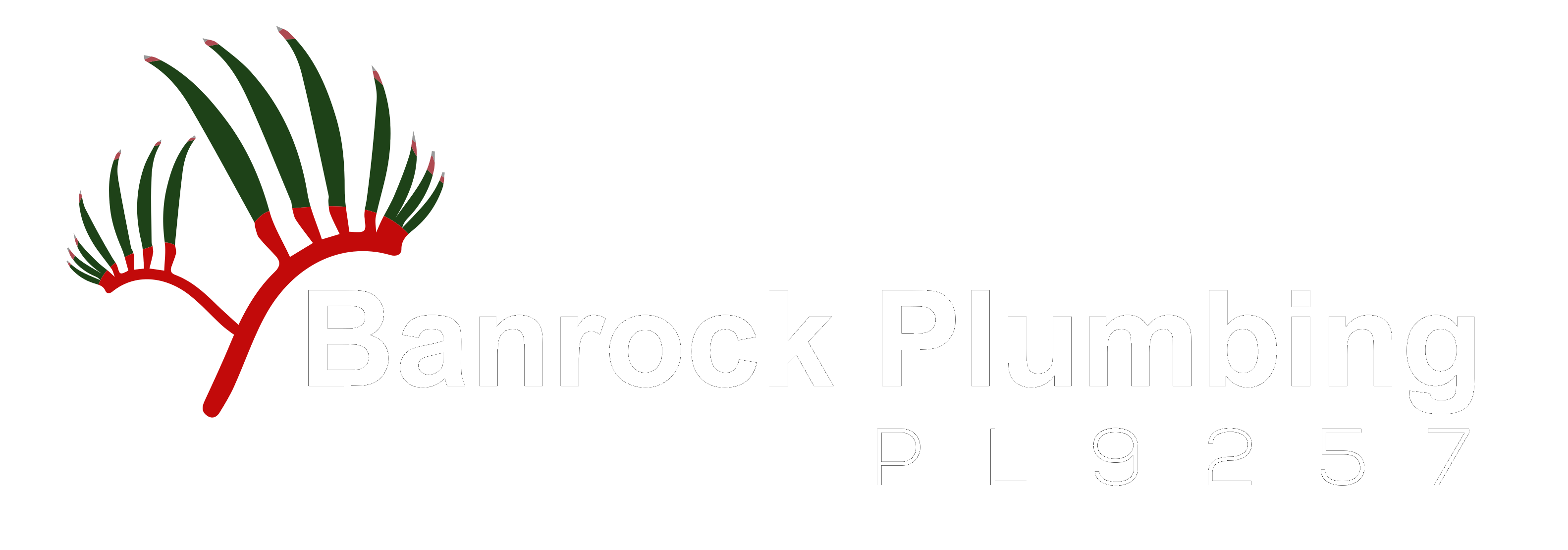 Banrock Plumbing Ellenbrook